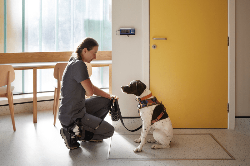 Registered Veterinary Nurse image