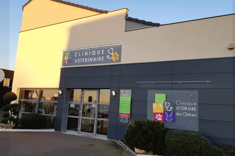 CARTE VERTE - GRAND - EST -  CLINIQUE DES CHENES - JUILLET/AOUT image