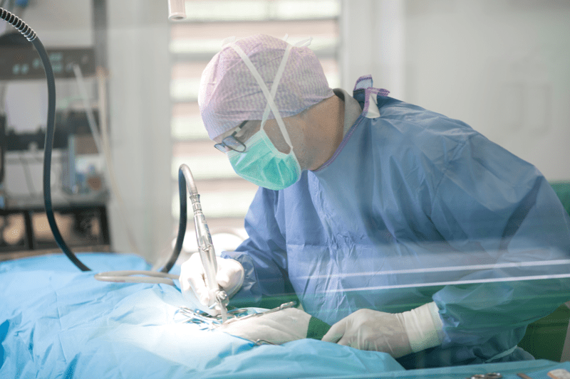 Orthopädischer Chirurg (m/w/d) - Tierklinik Erdberg image