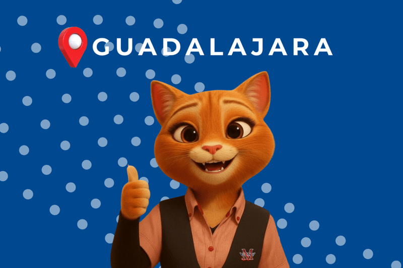 Colaboradores Sucursal image