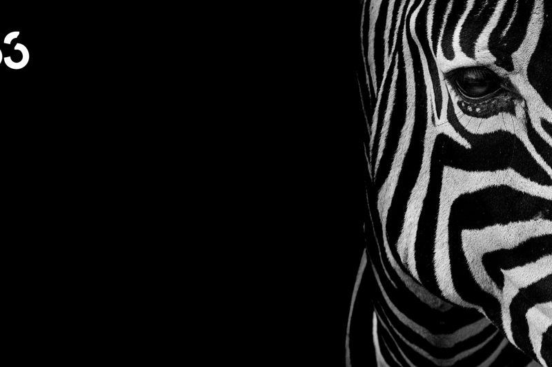 ServiceNow CRM Technical Consultant image