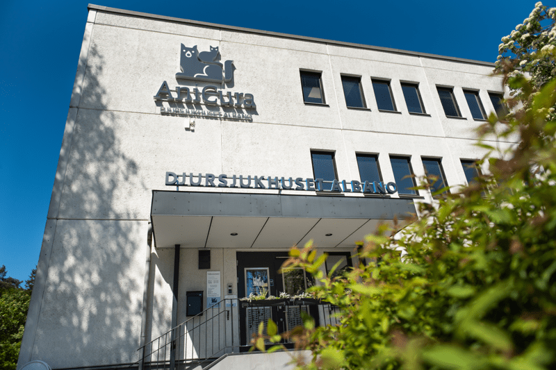 Led Operationsavdelningen framåt – bli vår nya avdelningschef image