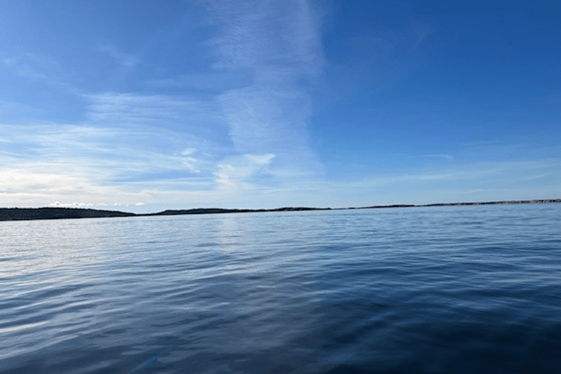 Revisorsassistent image