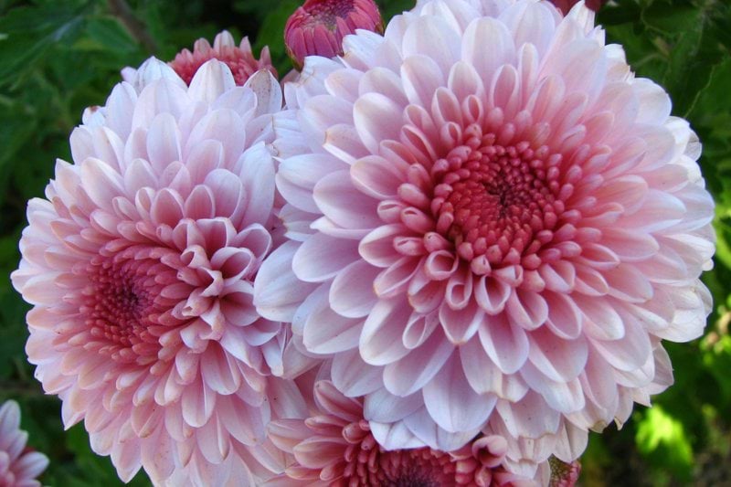 Ett sommarjobb med hjärta! image