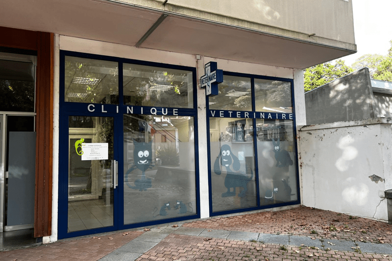 EYBENS - YES WE NAC - VETERINAIRE CANIN/NAC EN CDI (H/F) image