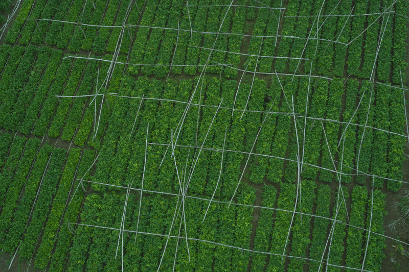 Import and Export Specialists image