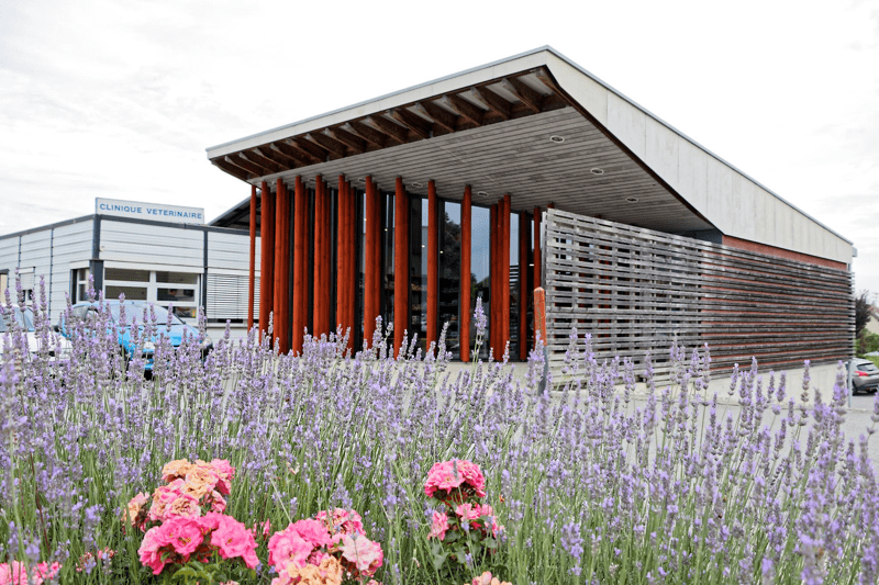 MAINTENON - ARCHE 28 - VETERINAIRE GENERALISTE EN CDI - F/H image