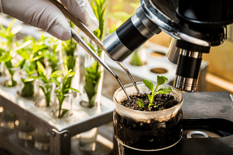 Head of Secretariat til European Biosolutions Coalition image