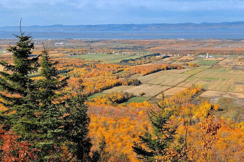 Professionnel(le) ou ingénieur(e) en transition climatique image