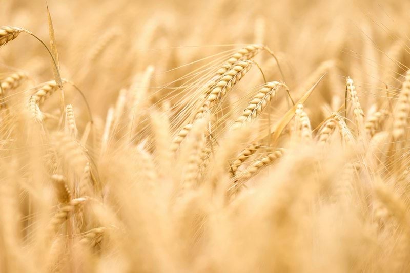 Operatörer till Lantmännen i Järna image