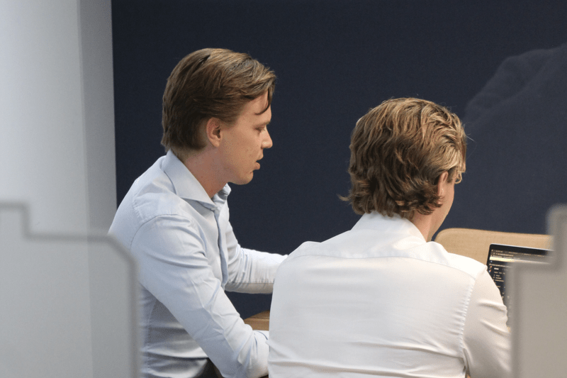 ERP Consultant (België) image