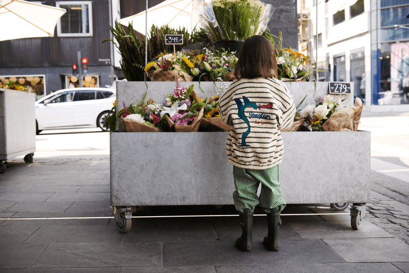 Sommerassistancer til Jylland image