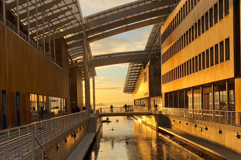 Kommunikasjonsleder - Astrup Fearnley Museet image
