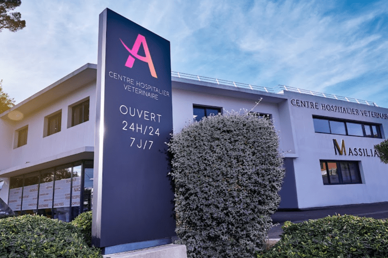 MARSEILLE - CHV MASSILIA - ASV EN CDD (H/F) image