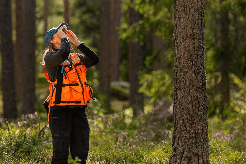 BI-utvecklare / Data Engineer till Sveaskog image