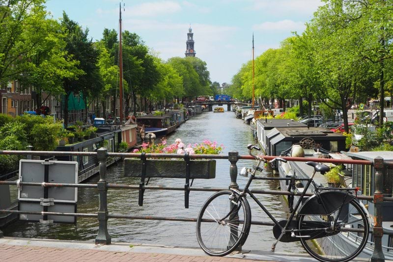 Tandarts Assistente in Amsterdam image