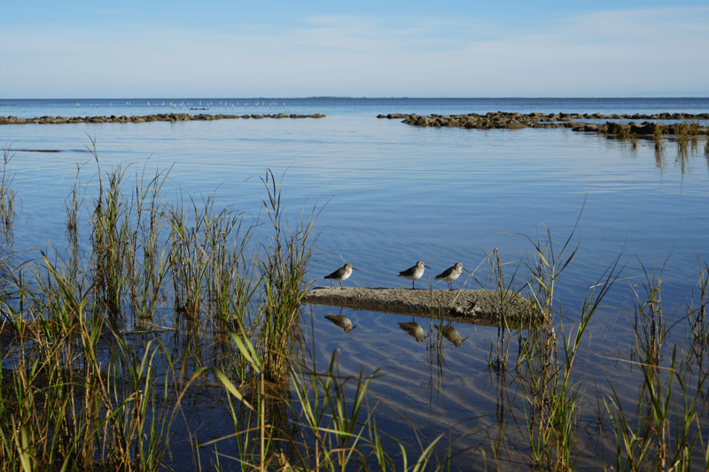Nationellt marknadsansvarig inom sektion Hydrogeologi image