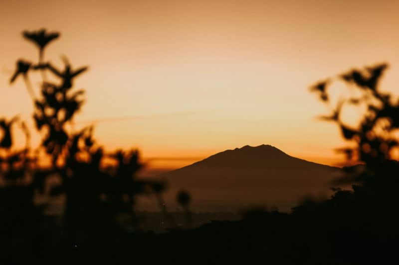 Conservation Program Manager M/F (Kenya) image
