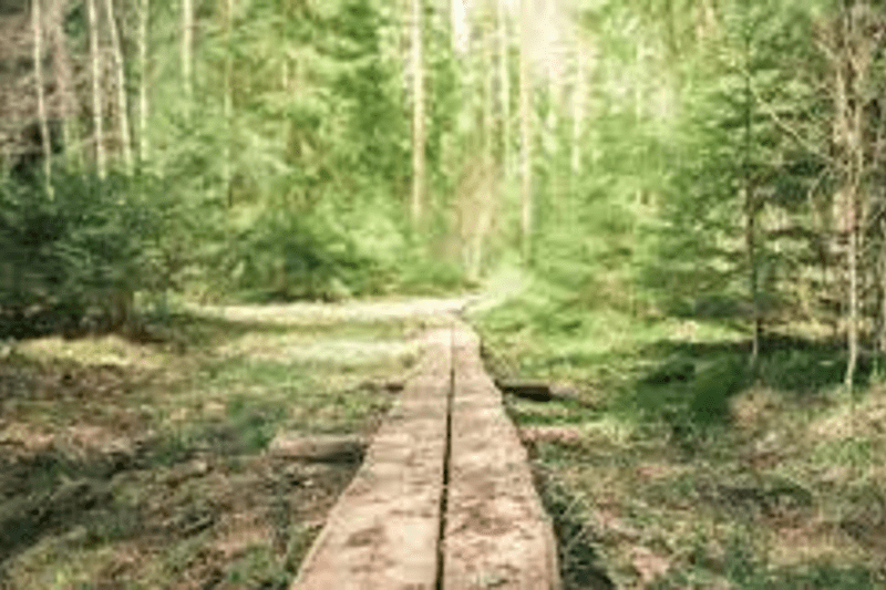 Toimitusjohtaja image