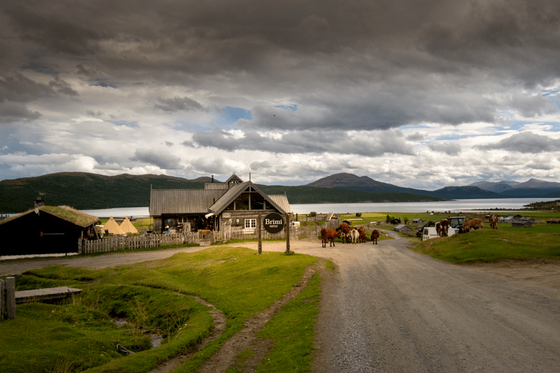 Dagleg Leiar image