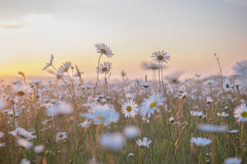 Norfolk Office & Merchandise Coordinator image