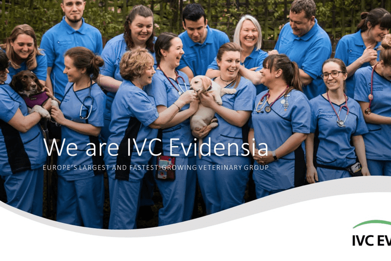 VETERINAIRE DIRECTEUR DE CLINIQUE (DDC) (H/F) image