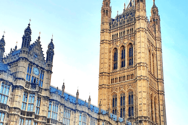 Senior political adviser image