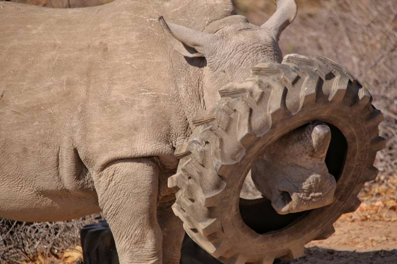 Lagerarbetare / Truckförare för säsongsuppdrag i Ängelholm image