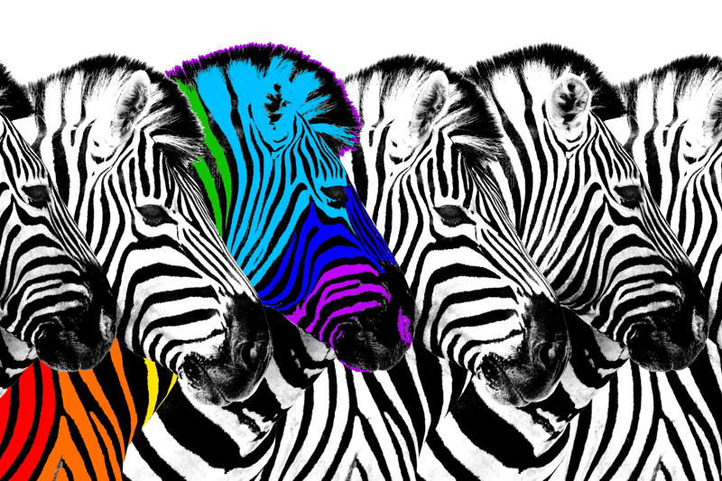 Rekrytering utan annons image