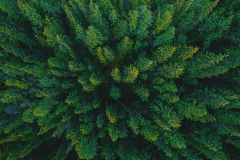 Finance Business Partner image