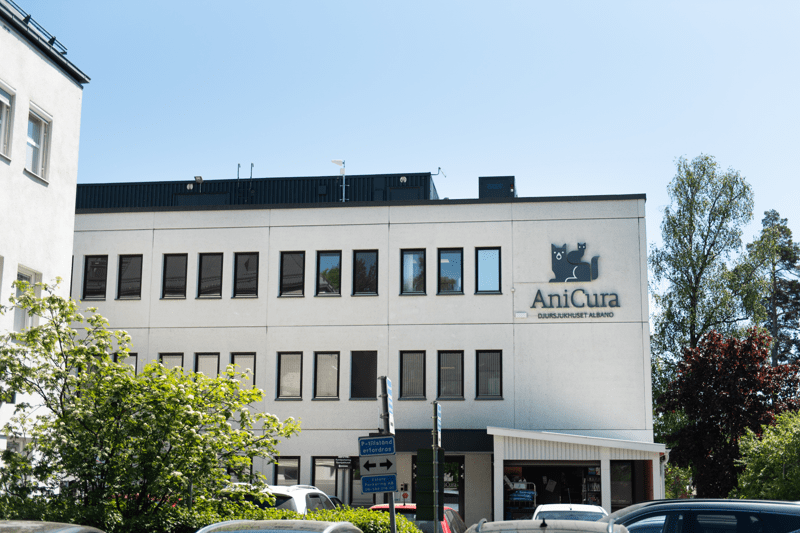 Legitimerad Djursjukskötare med anestesikompetens – Natt image