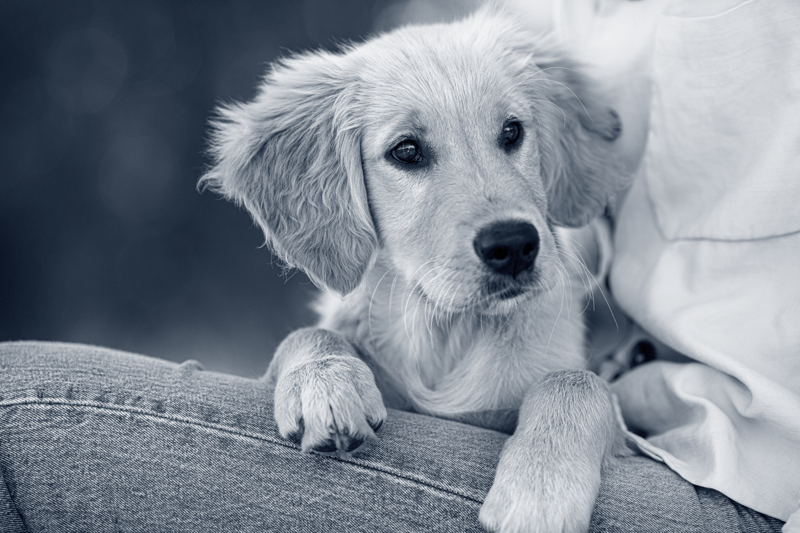 P&O Admin Coordinator (m/f/d) – Project-Based image