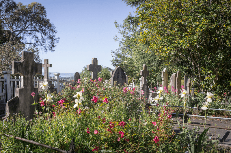 Cemetery Team Member image