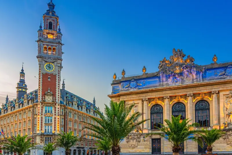 Manager Business Unit – IT (H/F) image