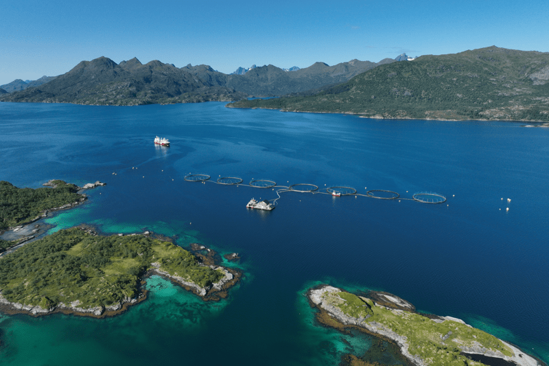 Driftsleder - Lofoten image