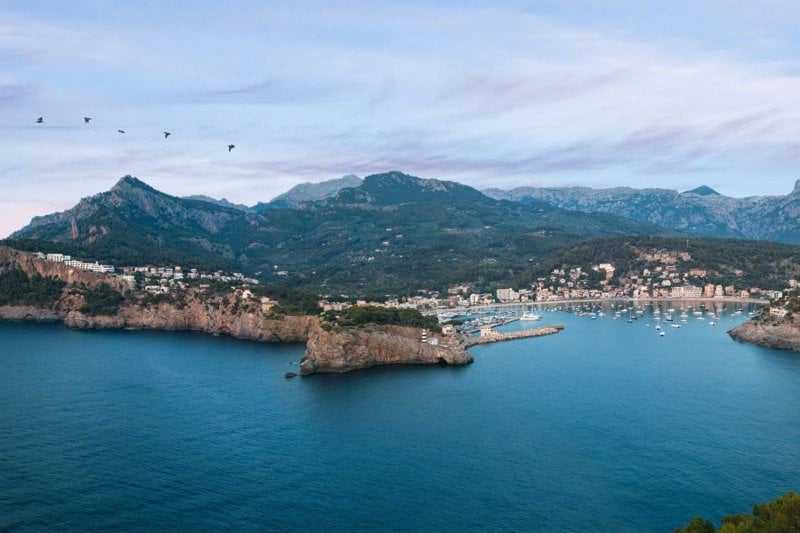 B2B-Säljare - Palma image