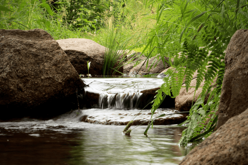 Trädgårdsarbetare/Trädgårdsmästare image