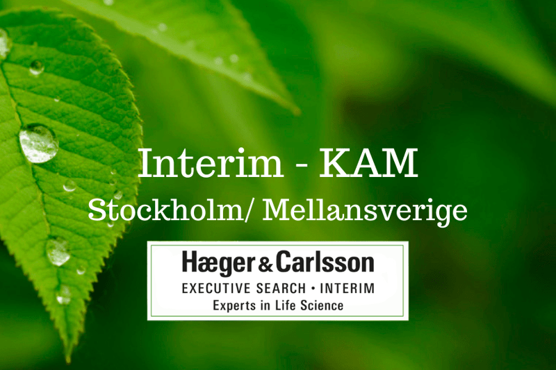 Interim - KAM, Stockholm/ Mellansverige image