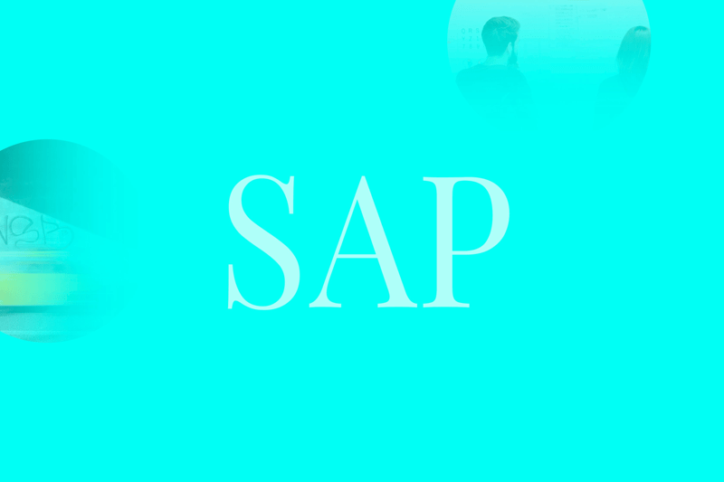 SAP Behörighetskonsult image