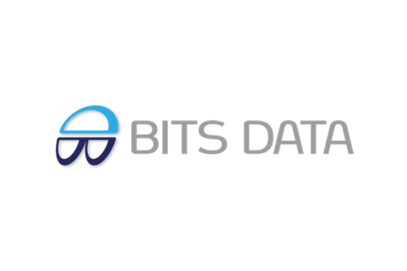 Verksamhetskonsult Personbilar till Bits Data image