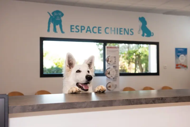 PEZENAS - LANGUEDOVET - VETERINAIRE CDD (H/F) image