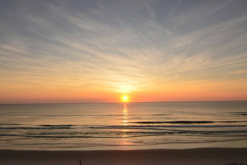 Assistant Purser image