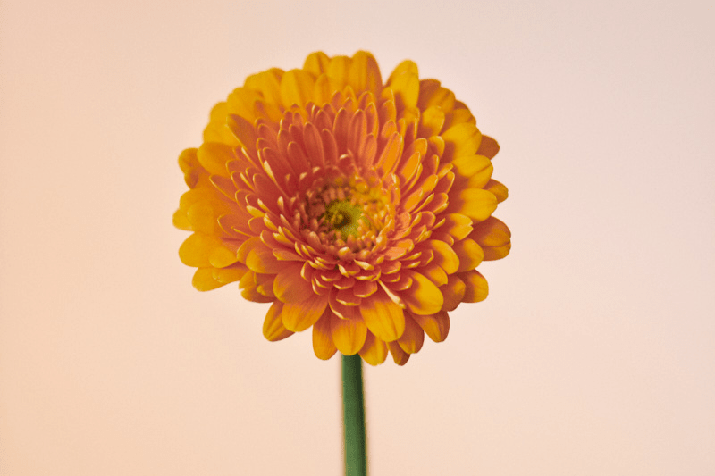 Web & App Analytics Specialist image