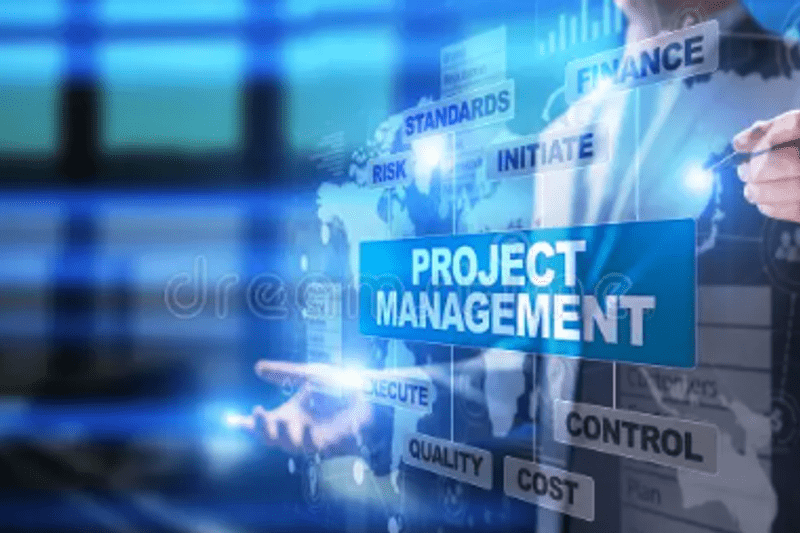 IT PROJECT MANAGER image