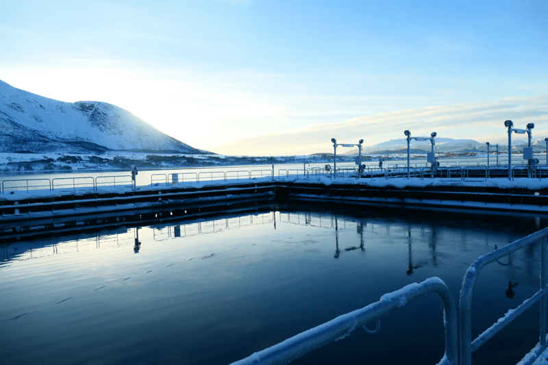 CFO / Finansdirektør  NOFI image