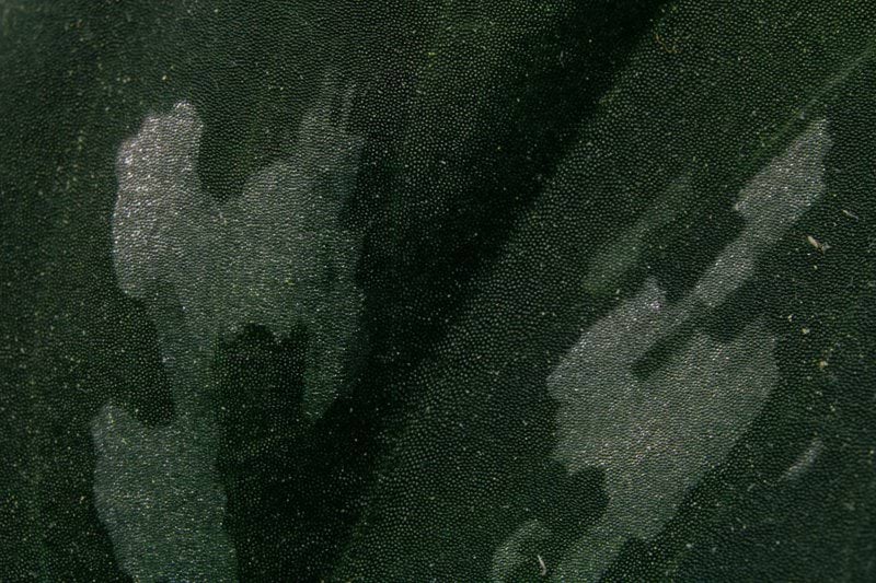 Helikoptertekniker image