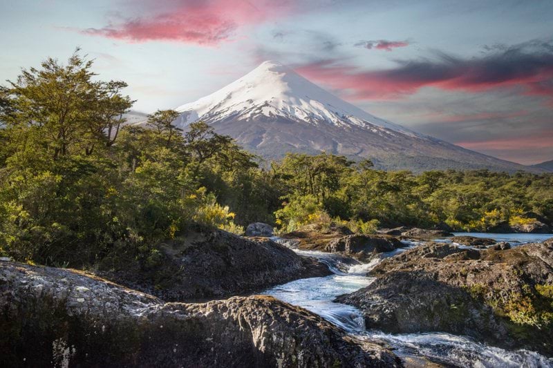 Project Manager image