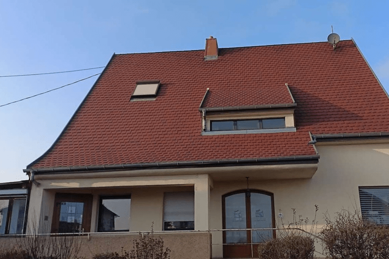 COLMAR - QUAT PATTES - VETERINAIRE CANIN EN CDI (H/F) image