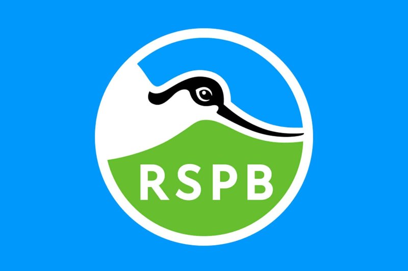 RSPB - Chief People Officer image