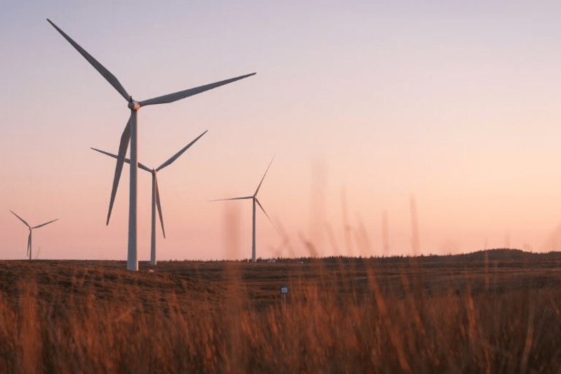 Jaunesnysis komercinių NT projektų specialistas (-ė) (0,5 -1,0 etato) image